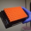 KickStarter Kit - Image 2