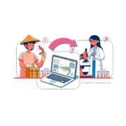 indo-shipping-facts-genics-bann-fit-4