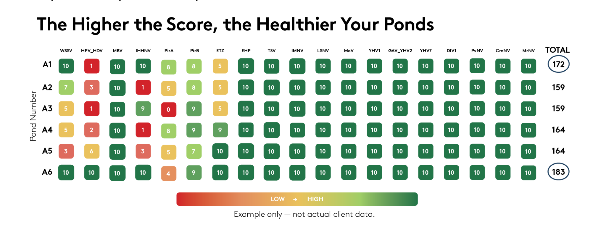 MultiScore ponds graphic